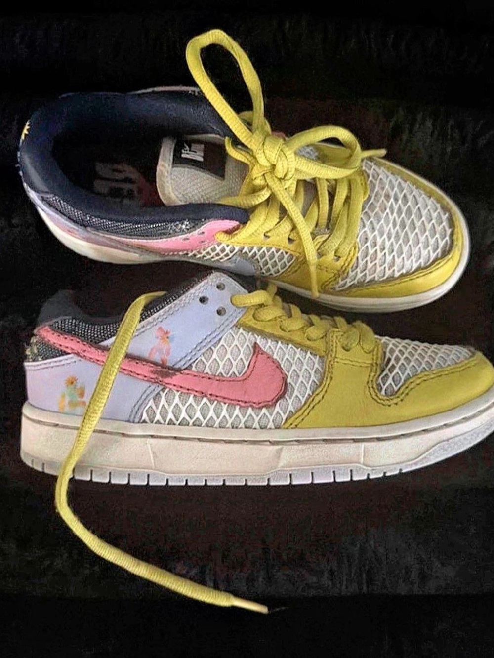 Nike SB Dunk Low Pro Polaroid Color Block Sneakers